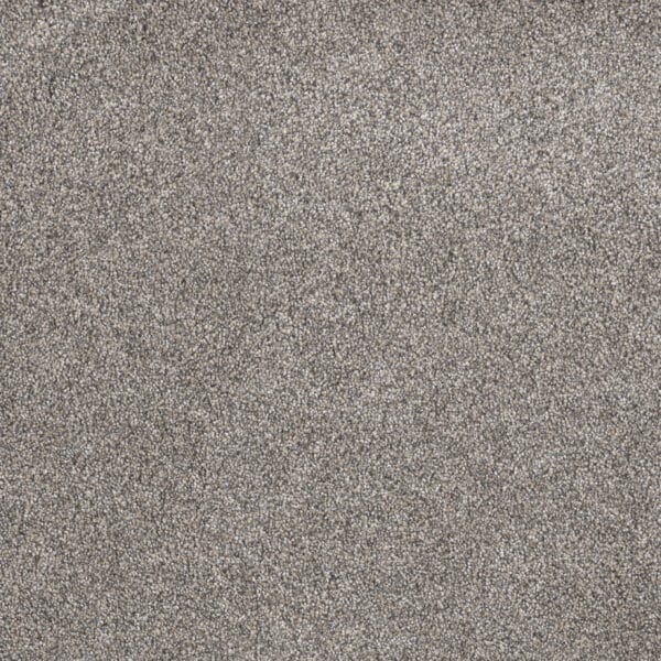 Dreamweaver Carpet Gold Standard III Crystal Carpet 4066_2448