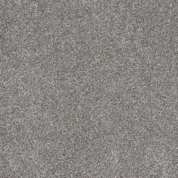 Dreamweaver Carpet Gold Standard III Chrome Carpet 4066_2484