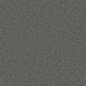 Dreamweaver Carpet Gold Standard III Galvanized Carpet 4066_2494