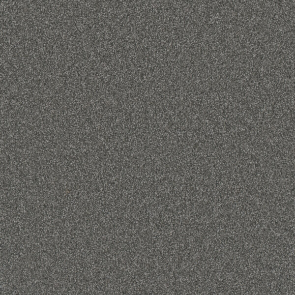 Dreamweaver Carpet Gold Standard III Galvanized Carpet 4066_2494