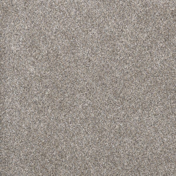 Dreamweaver Carpet Gold Standard III Sterling Carpet 4066_2508