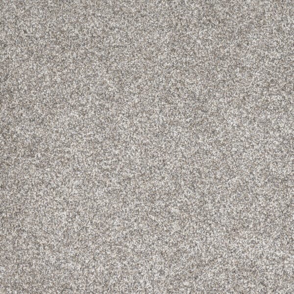 Dreamweaver Carpet Gold Standard III Glitter Carpet 4066_2611
