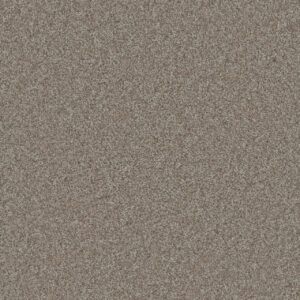 Dreamweaver Carpet Gold Standard III Alloy Carpet 4066_2632
