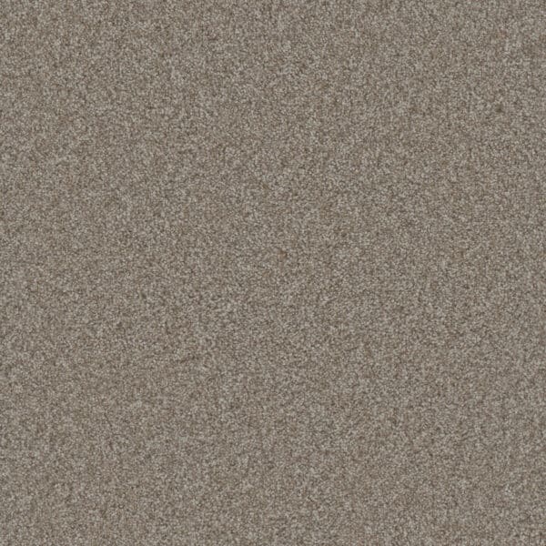 Dreamweaver Carpet Gold Standard III Alloy Carpet 4066_2632