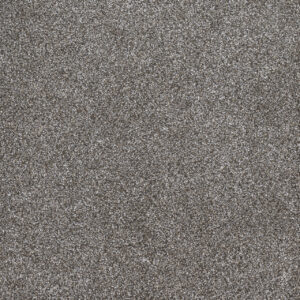 Dreamweaver Carpet Gold Standard III Metallic Carpet 4066_2648