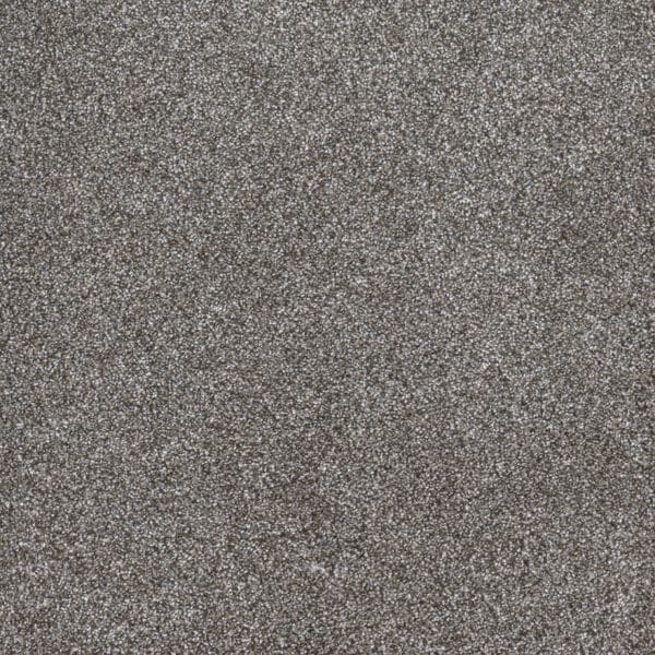 Dreamweaver Carpet Gold Standard III Metallic Carpet 4066_2648