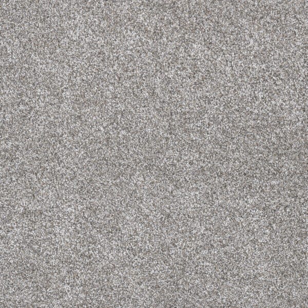 Dreamweaver Carpet Gold Standard III Quartz Carpet 4066_2678