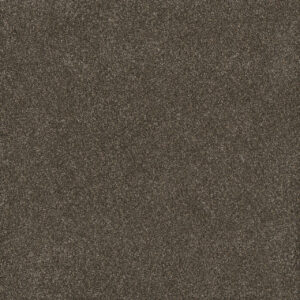 Dreamweaver Carpet Gold Standard III Ingot Carpet 4066_2801