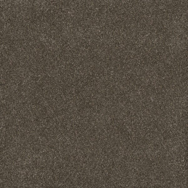Dreamweaver Carpet Gold Standard III Ingot Carpet 4066_2801
