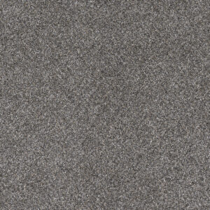Dreamweaver Carpet Gold Standard III Reserve Carpet 4066_2817