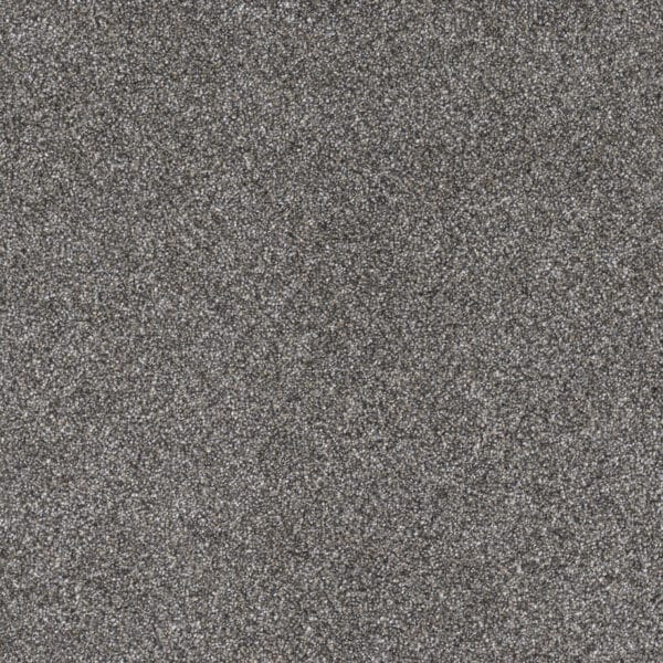 Dreamweaver Carpet Gold Standard III Reserve Carpet 4066_2817