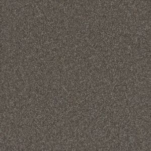 Dreamweaver Carpet Gold Standard III Topaz Carpet 4066_2819