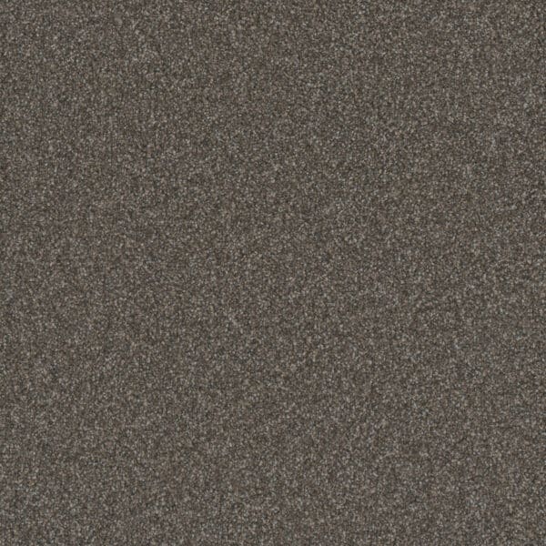 Dreamweaver Carpet Gold Standard III Topaz Carpet 4066_2819