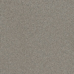Dreamweaver Carpet No Limits II Cloud Gate Carpet 9346_4100