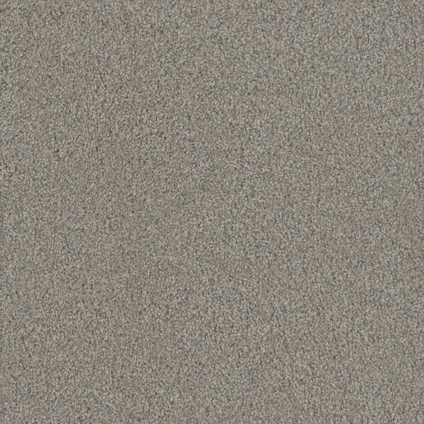 Dreamweaver Carpet No Limits I Cloud Gate Carpet 9337_4100