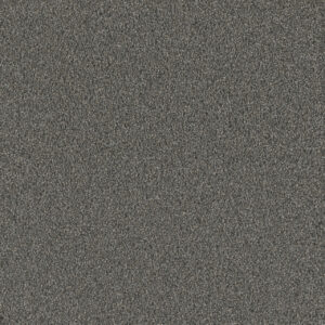 Dreamweaver Carpet No Limits II Gentle Sea Carpet 9346_4118