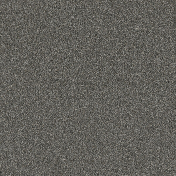 Dreamweaver Carpet No Limits I Gentle Sea Carpet 9337_4118
