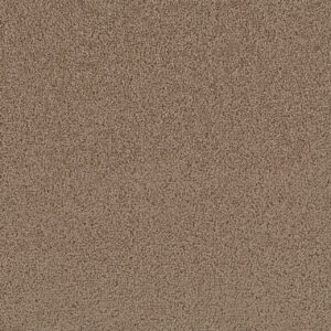 Dreamweaver Carpet First Step Sable Carpet 4160_510