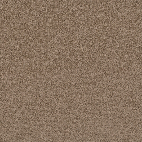 Dreamweaver Carpet First Step Sable Carpet 4160_510