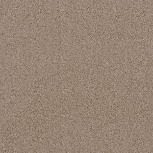 Dreamweaver Carpet First Step Doeskin Carpet 4160_530