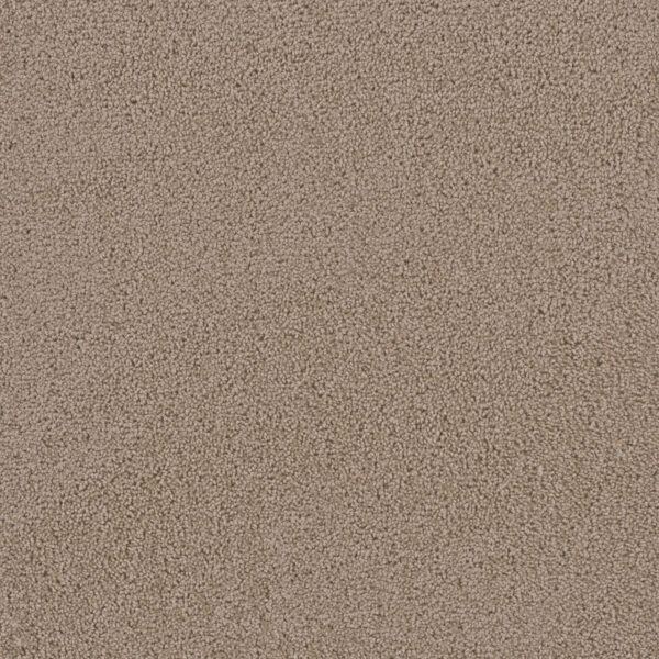 Dreamweaver Carpet First Step Doeskin Carpet 4160_530