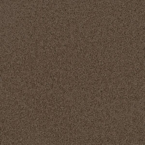Dreamweaver Carpet First Step Barnwood Carpet 4160_550