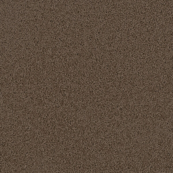 Dreamweaver Carpet First Step Barnwood Carpet 4160_550