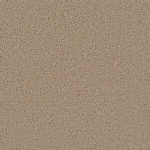 Dreamweaver Carpet First Step Satinwood Carpet 4160_555