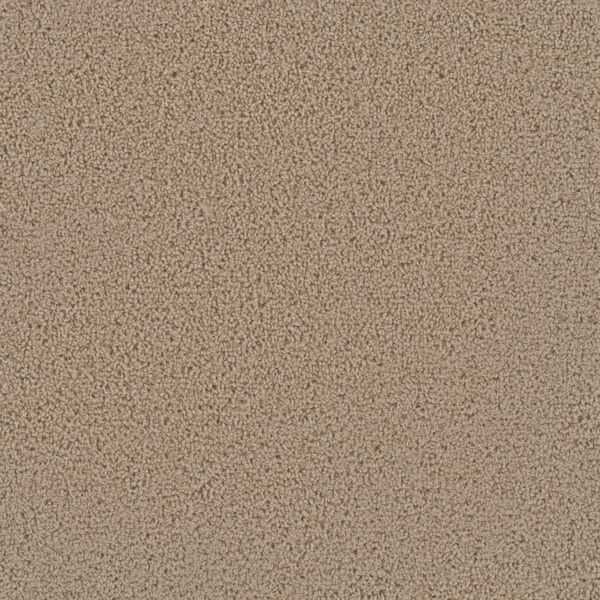 Dreamweaver Carpet First Step Satinwood Carpet 4160_555