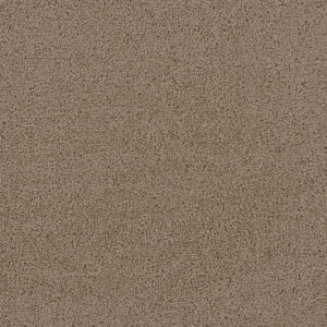 Dreamweaver Carpet First Step Balsam Carpet 4160_565