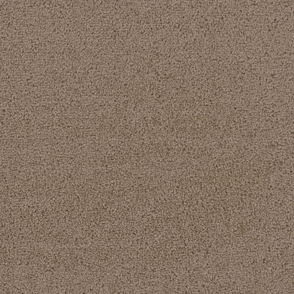 Dreamweaver Carpet First Step Balsam Carpet 4160_565