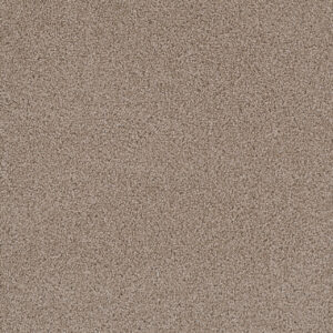 Dreamweaver Carpet First Step Biscotti Carpet 4160_642