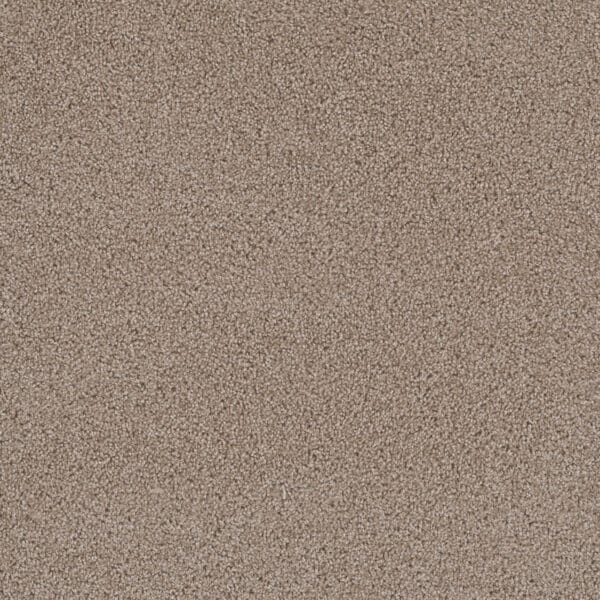 Dreamweaver Carpet First Step Biscotti Carpet 4160_642