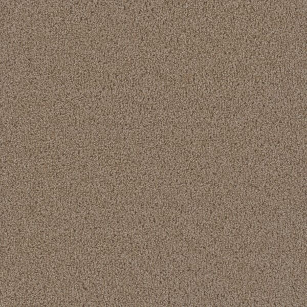 Dreamweaver Carpet First Step Sawgrass Carpet 4160_701