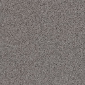 Dreamweaver Carpet First Step Dove Carpet 4160_800