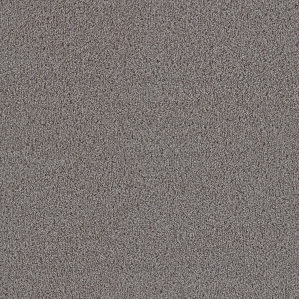 Dreamweaver Carpet First Step Dove Carpet 4160_800