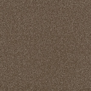 Dreamweaver Carpet First Step Chocolate Carpet 4160_812