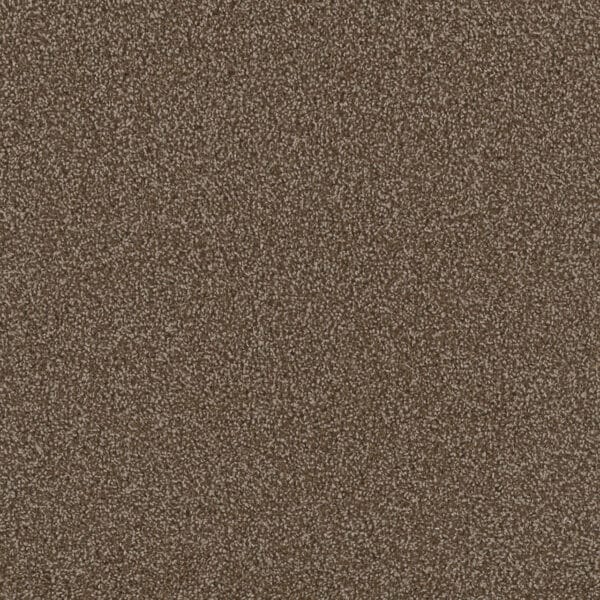 Dreamweaver Carpet First Step Chocolate Carpet 4160_812