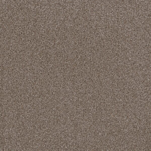 Dreamweaver Carpet First Step Silvery Carpet 4160_829