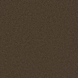 Dreamweaver Carpet First Step Castle Carpet 4160_945