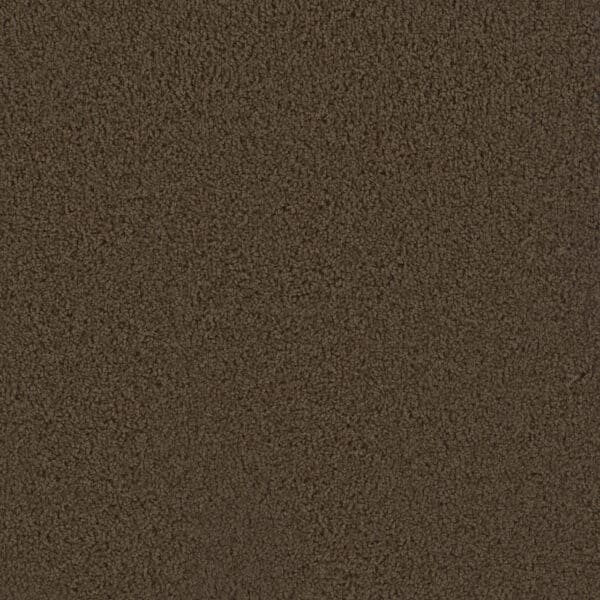 Dreamweaver Carpet First Step Castle Carpet 4160_945