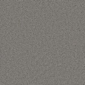 Dreamweaver Carpet First Step Bayside Carpet 4160_956