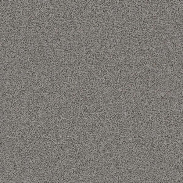 Dreamweaver Carpet First Step Bayside Carpet 4160_956