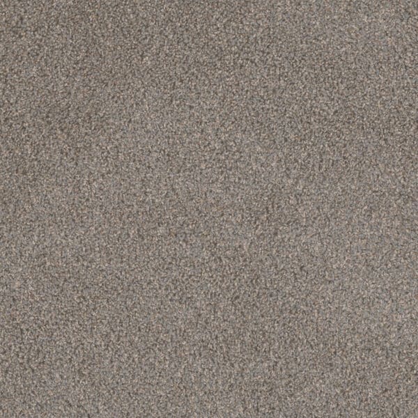 Dreamweaver Carpet Step Two Periwinkle Carpet 4162_447
