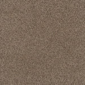 Dreamweaver Carpet Step Two Agate Carpet 4162_512