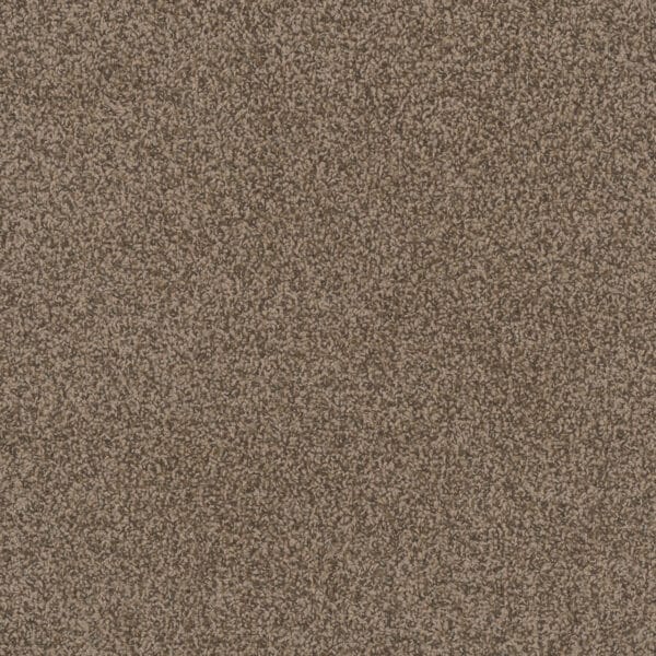 Dreamweaver Carpet Step Two Agate Carpet 4162_512