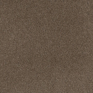 Dreamweaver Carpet Step Two Boulder Carpet 4162_552