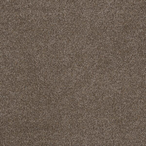 Dreamweaver Carpet Step Two Richness Carpet 4162_709