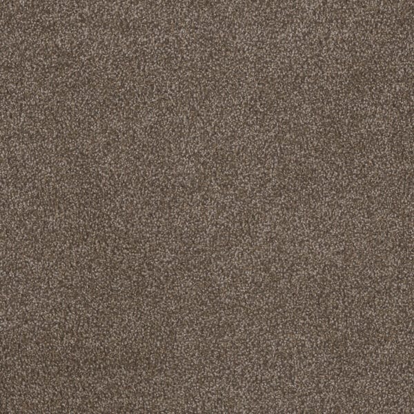 Dreamweaver Carpet Step Two Richness Carpet 4162_709