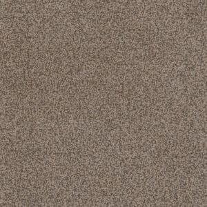 Dreamweaver Carpet Step Two Fawn Carpet 4162_767